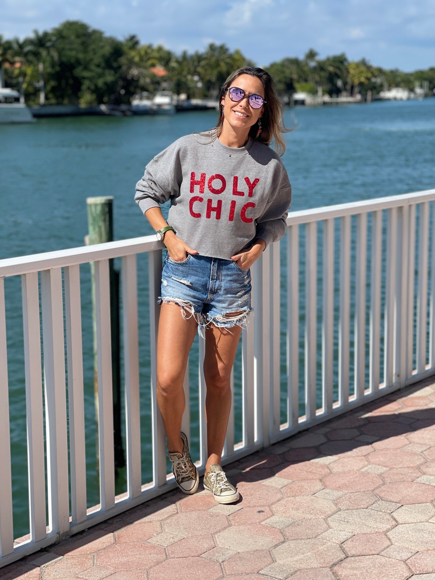 Holly Chic Gray Cropped Sweatshirt