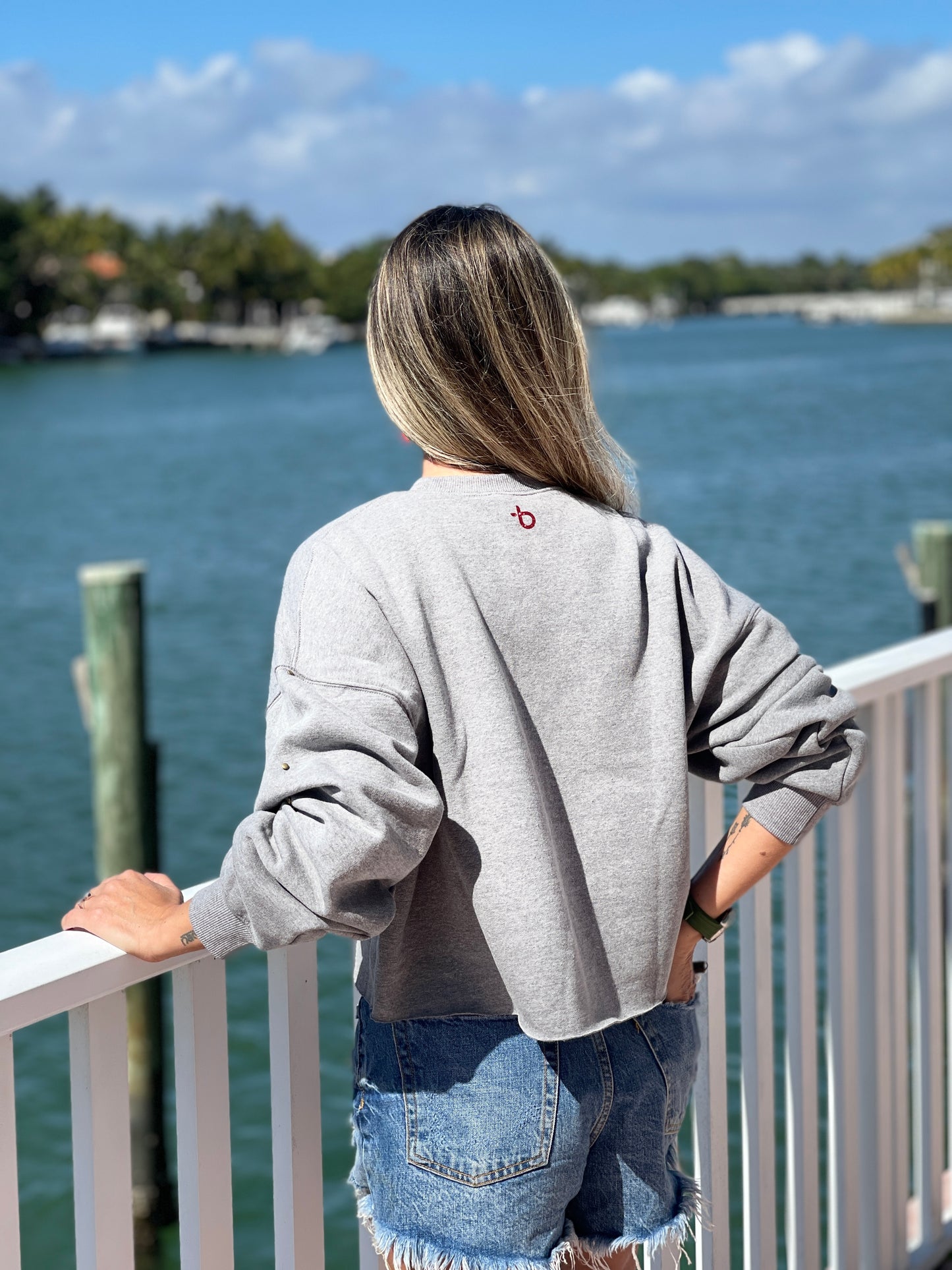 Holly Chic Gray Cropped Sweatshirt